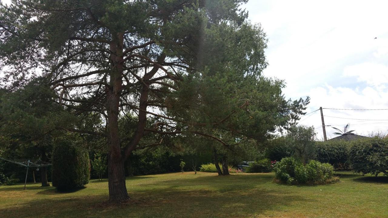 Chambre D'Hotes Take Off Saint-Georges-sur-Cher Exterior foto